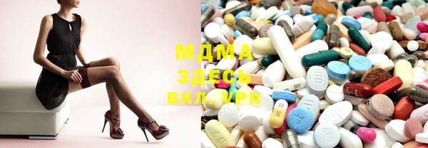 spice Дмитриев