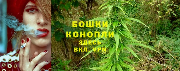 мет Дмитров