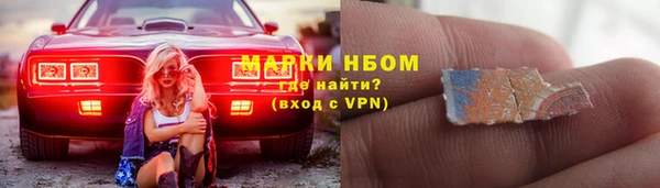 spice Дмитриев