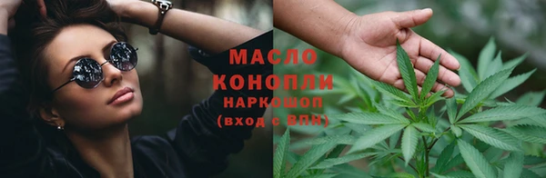 spice Дмитриев