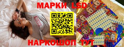 МДПВ Новодвинск