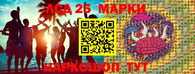твердый Новозыбков
