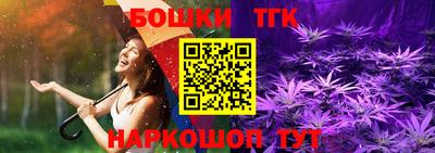 МДПВ Новодвинск