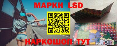 МДПВ Новодвинск