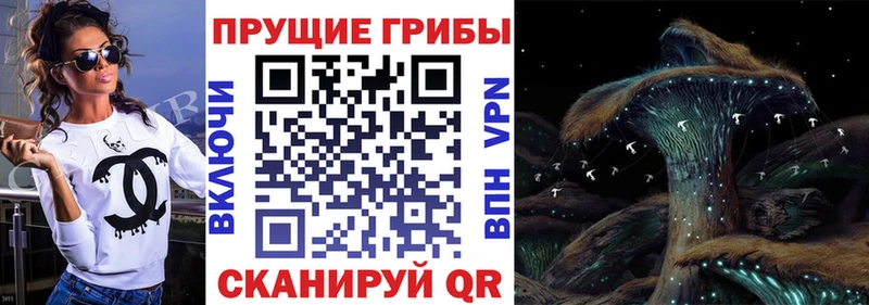 Галлюциногенные грибы GOLDEN TEACHER  площадка наркотические препараты  Отрадный 