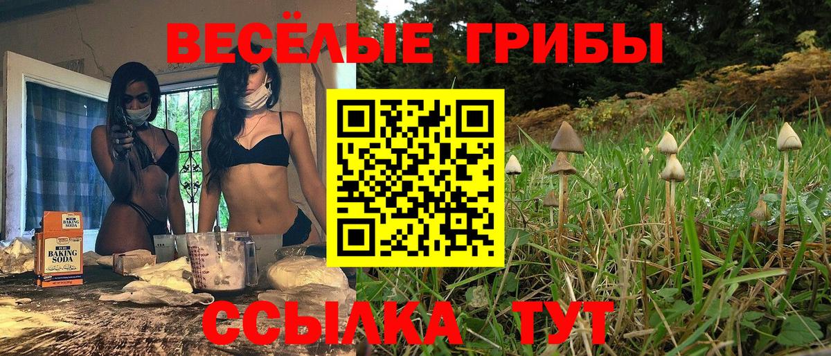 Псилоцибиновые грибы Psilocybine cubensis Отрадный